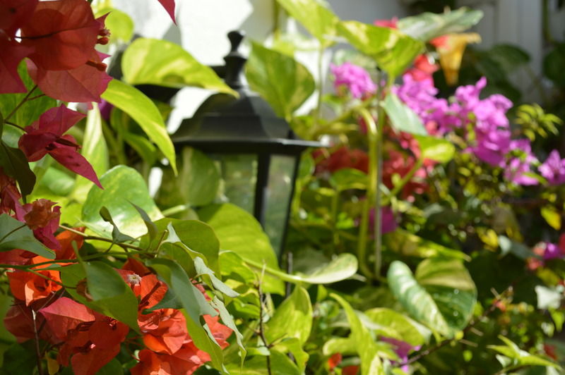 Hotel Casa Mary Cartagena Exteriér fotografie